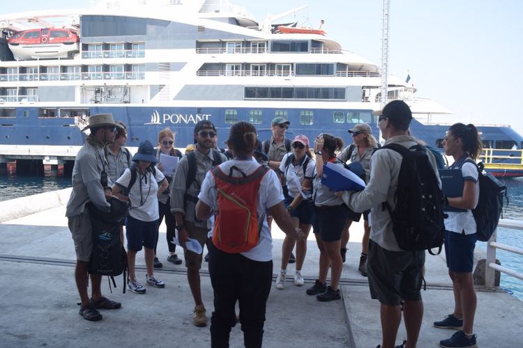 Ratusan wisatawan mancanegara tiba di Pelabuhan Lorens Say Maumere, Kabupaten Sikka, Nusa Tenggara Timur (NTT) Kamis (19/10/2023) siang.