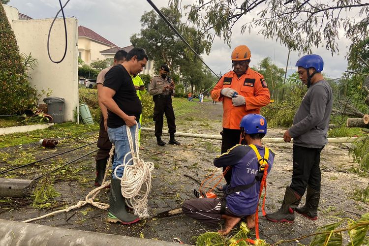 Hujan deras disertai angin di Jember menyebabkan pohon tumbang menimpa tiang listrik hingga ambruk pada Selasa (6/11/2022)