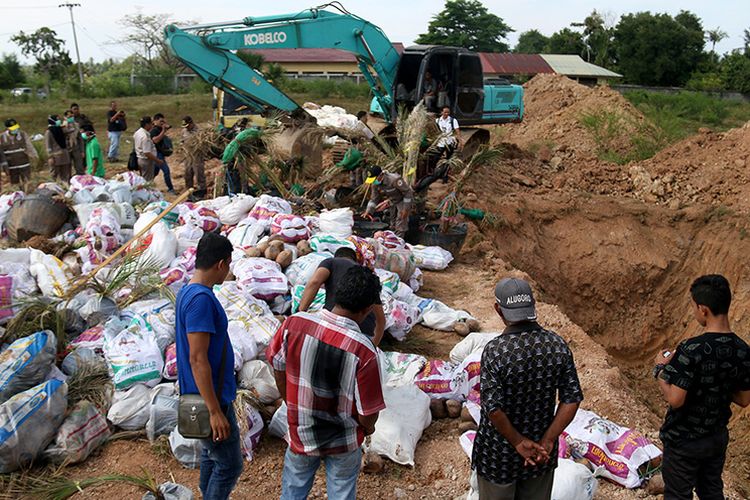 170 batang kurma dan 70 karung buah kelapa hasil selundupan dari Thailand  dimusnahkan karena berpotensi menyebarkan virus.