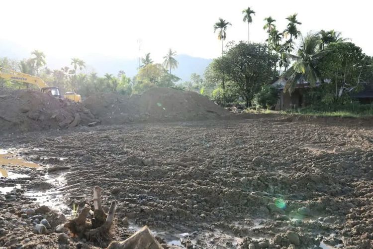 Rehabilitasi Sawah Pascabanjir di Padang Telan Rp 7,6 Miliar, Kementan Transfer Langsung ke Petani
