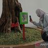 Wisata ke Taman Botani Baturraden di Banyumas, Kenali Banyak Tanaman