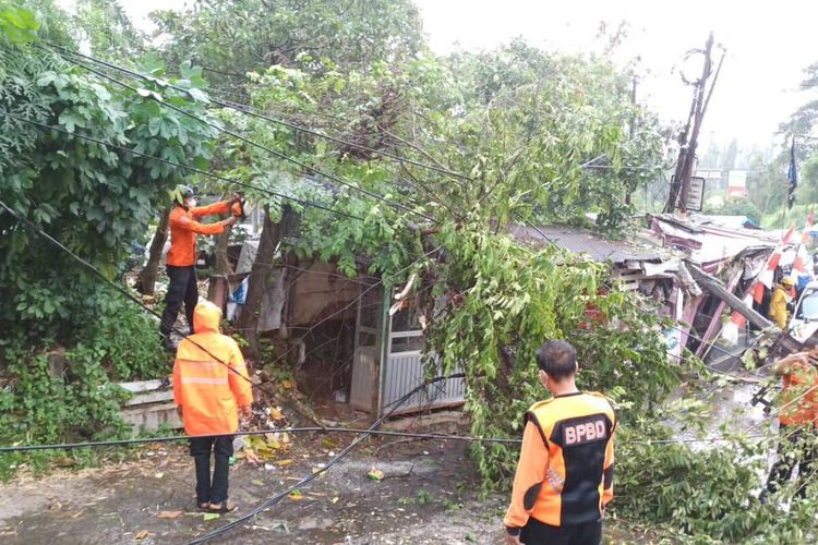 Sebuah pohon dan tiang listrik di Kampung Jembatan Dua, Kelurahan Karang Asem Barat, Kecamatan Citeureup, Kabupaten Bogor, Jawa Barat, tumbang diterjang angin kencang pada Sabtu (5/3/2022) sore.