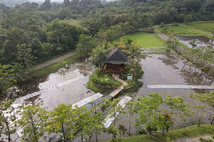 Salah satu inovasi penting PTBA, yakni pengembangan lahan basah buatan (constructed wetland) untuk pemurnian air tambang. 