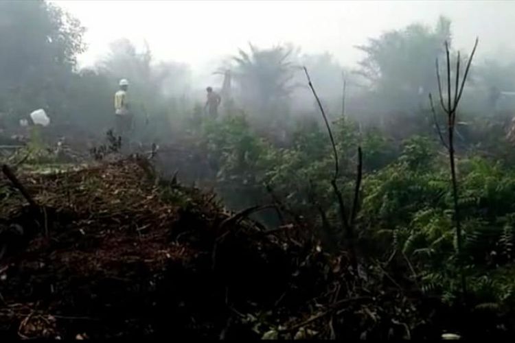 Pemadaman karhutla di Kabupaten Siak, Kamis (1/8/2019). Dok. Manggala Agni Daops Siak