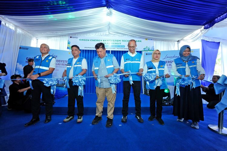 PLN Resmikan Energi Hijau Pulau Rengit, Listrik Masyarakat Kini Nyala 24 Jam