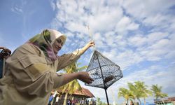 4 Inovasi Layanan Publik Luwu Utara Masuk Top 30 KIPP, Begini Respons Bupati Indah 