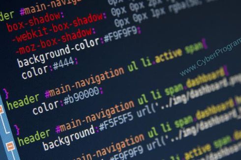 6 Alasan Pentingnya Belajar Coding Dimulai dari Sekarang