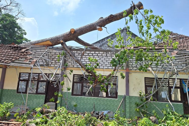 Pohon tumbang akibat hujan disertai angin kencang menimpa bangunan ruang kelas SDN 1 Tambakmenjangan di Kecamatan Sarirejo, Lamongan, Jawa Timur, Sabtu (4/11/2023) malam.