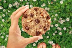 Di Rumah Aja? Bikin Choco Chip Cookie Terkenal dari DoubleTree