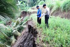 Diguyur Hujan, Tebing Setinggi 30 Meter Longsor