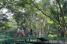 Cara Naik Angkot dan DAMRI ke Hutan Kota Babakan Siliwangi di Bandung