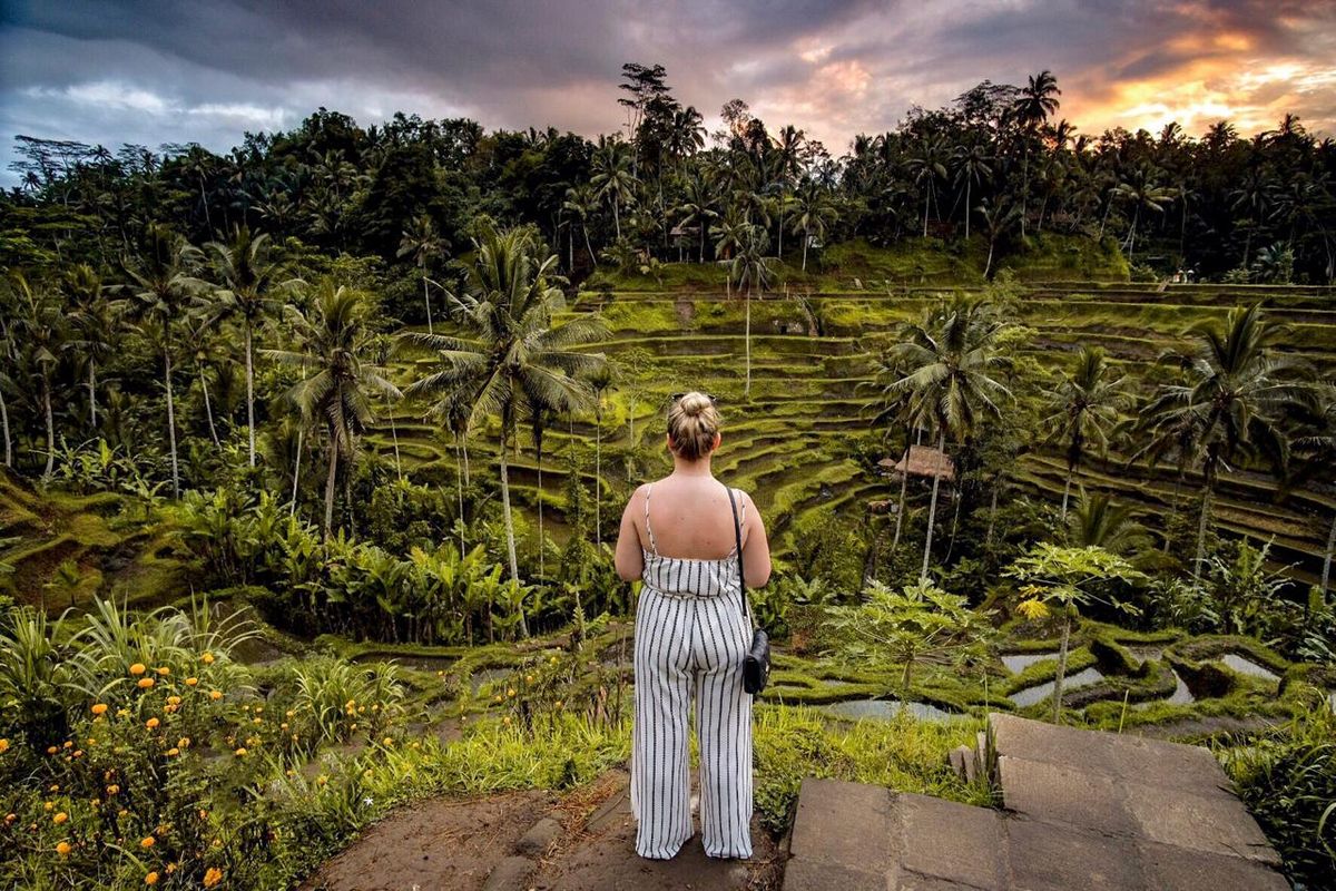 Turis asing di sawah berundak Ubud, Bali