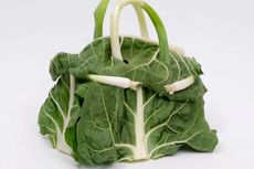 Intip Tas Hermes Birkin dari Bahan Sayuran