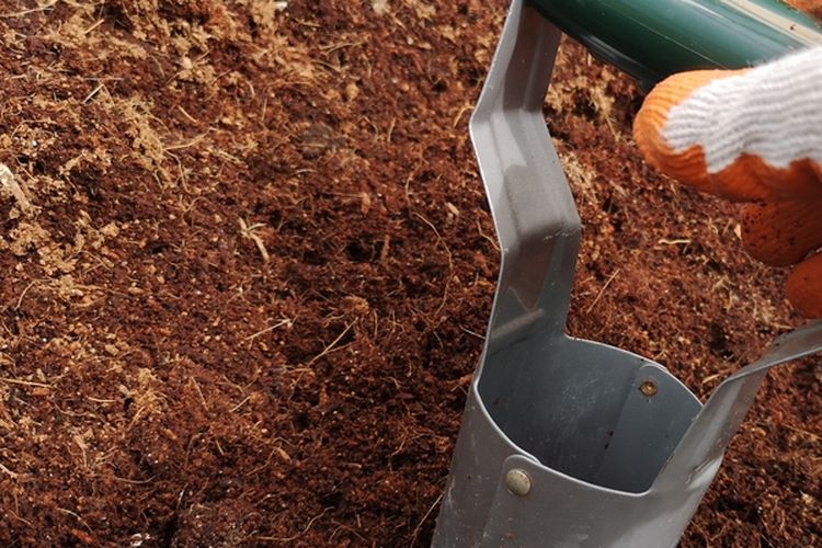 Media tanam cocopeat