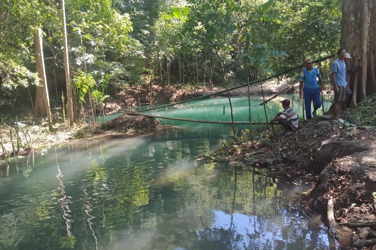 Danau Tiwu Cewe atau Danau Kuali di Desa Haju Wangi, Kecamatan Lambaleda Utara (LAUT), Kab. Manggarai Timur, NTT, Selasa, (5/4/2022) memiliki daya tarik bagi wisatawan yang berwisata di Pantai Utara (Pantura)  dari Manggarai Timur.