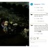 Video Viral Ikan-ikan Loncat dari Laut ke Daratan, Ini Penjelasannya