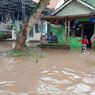 Banjir Landa Desa di Jombang, Warga Tangkap Ular Sanca yang Hendak Masuk Rumah