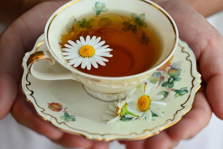 Ilustrasi chamomile tea, teh bunga chamomile. 