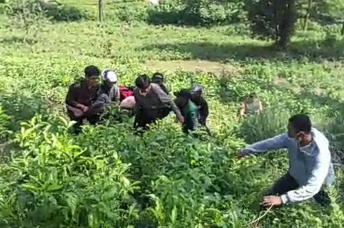 Motor Anak Oleng Saat Lewati Puncak Bogor, Ayah Tewas Terpental ke Kebun Teh