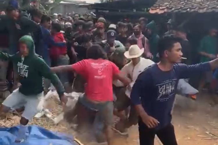 Para pemuda terlibat aksi tawuran saat meonton pertunjukan dangdut di Tuban