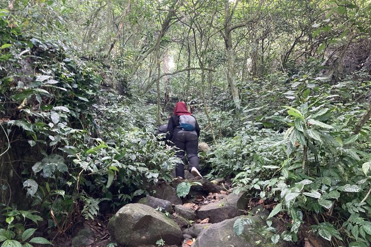 Jalur pendakian Gunung Parang via Pesanggrahan di Kabupaten Purwakarta, Jawa Barat, Minggu (13/6/2021).