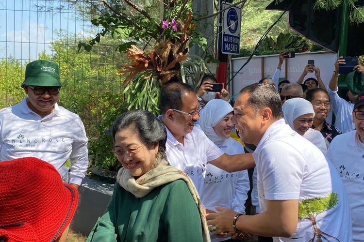Presiden Kelima RI serta Ketua Dewan Pengarah Badan Riset dan Inovasi Nasional (BRIN), Megawati Soekarnoputri meninjau Kebun Raya Mangrove Gunung Anyar, Surabaya, pada Rabu (26/7/2023). 