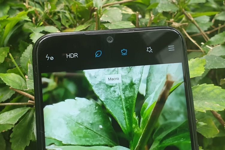 Mode makro di kamera belakang Redmi Note 8.