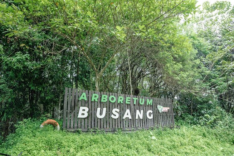 Arboretum Busang merupakan lahan bekas tambang dari MHU yang kini berhasil disulap menjadi tanah bagi banyak kehidupan.