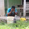 Bagaimana Sanitasi Bisa Disebut Layak? Pahami Kriterianya