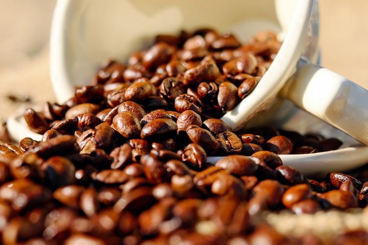 Ilustrasi kopi, biji kopi. Apakah kopi menaikan gula darah?