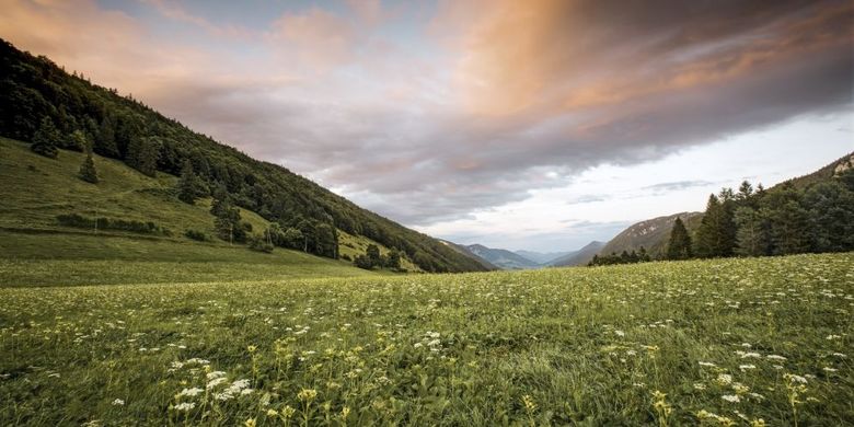 Tempat wisata bernama Thal Nature Park di Swiss (Copyright by: Switzerland Tourism - BAFU  | By-Line: swiss-image.ch/Roland Gerth).