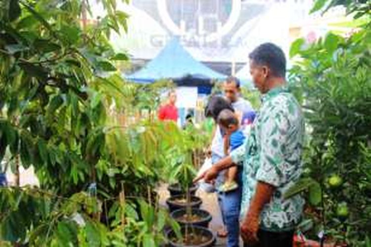 Bibit durian yang dibawa kios bibit Tani Subur Makmur merupakan hasil rekayasa genetik untuk mulai tumbuh buah di usia empat hingga lima tahun. Bibit tersebut dijual dalam acara Pesta Durian 2016, bertempat di Mall Artha Gading, 2-10 April 2016.