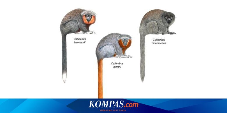 Mengapa Nama Ilmiah Menggunakan Bahasa Latin