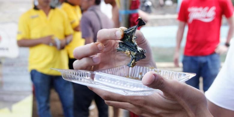 Paniki, makanan yang dibuat dari daging kelelawar di pesta kuliner Festival Teluk Jailolo, Kamis (29/5/2014).