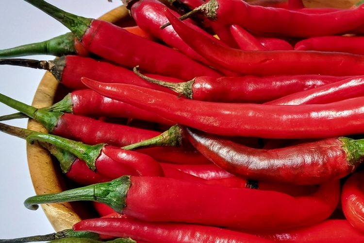 Ilustrasi cabai merah. 