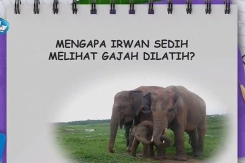 Mengapa Irwan Sedih Melihat Gajah Dilatih?