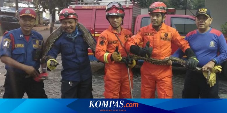 Tes Soal Dan Jawaban Pemadam Kebakaran : Soal Test Latihan ...
