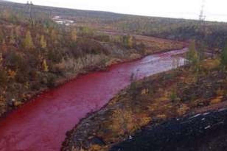 Sungai bernama Daldykan tersebut berada di Kota Norilsk, dekat wilayah Artik, Provinsi Kransnoyarsk, Rusia. 