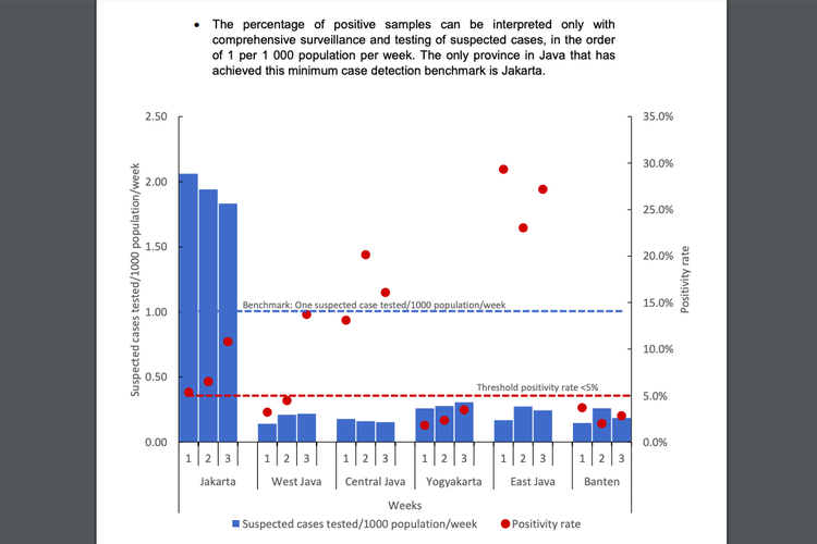 Tangkapan layar laporan WHO soal data tes di sejumlah provinsi. Hanya DKI Jakarta yang memenuhi syarat minimum