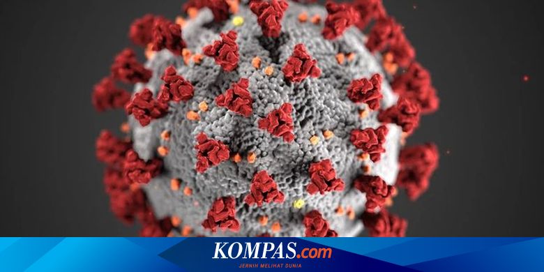 Satgas Covid-19: Varian Delta Lebih Menular, dari 1 Orang Bisa ke 5 Orang