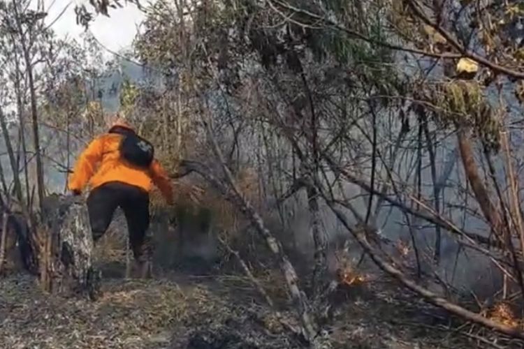 10 Hektar Hutan Jalur Pendakian Gunung Semeru Terbakar, 12.000 Liter Air Diguyurkan