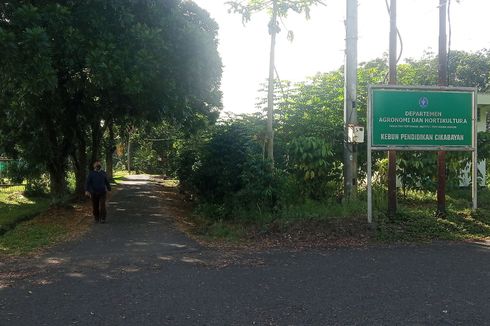 Mahasiswa IPB Tewas Digigit Ular di Kebun Kampus, Dosen: Di Mana Ada Taman, Pasti Ada Ular