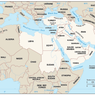 Politik Arab Spring di Timur Tengah (2011)