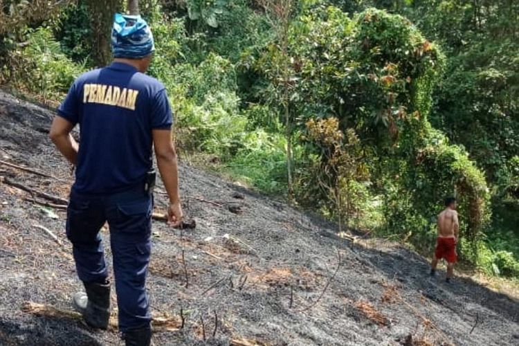 Lahan Pertanian dan Perkebunan warga di Kilometer 8 Kelurahan Latuppa, Kota Palopo, sulawesi Selatan nyaris habis dilanda kebakaran, Rabu (07/08/2019)