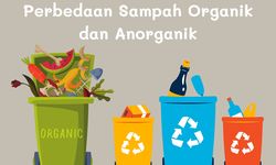 Perbedaan Sampah Organik dan Anorganik serta Cara Mengolahnya