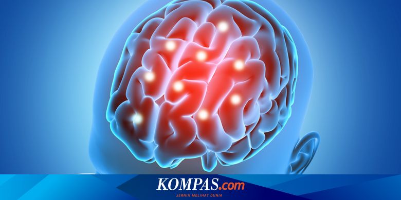 Fungsi Kognitif pada Manusia