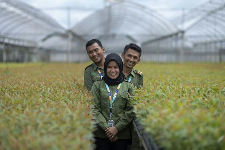Selama tiga puluh tahun beroperasi, APRIL Group berhasil mendukung sektor perekonomian di Provinsi Riau