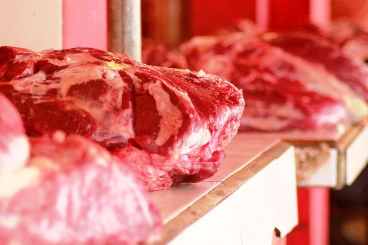 Ilustrasi daging sapi