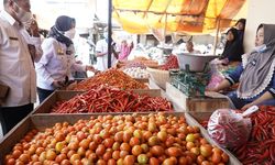 Turun ke Lapangan, Kementan Pastikan 12 Bahan Pangan Pokok di NTB Aman hingga Lebaran