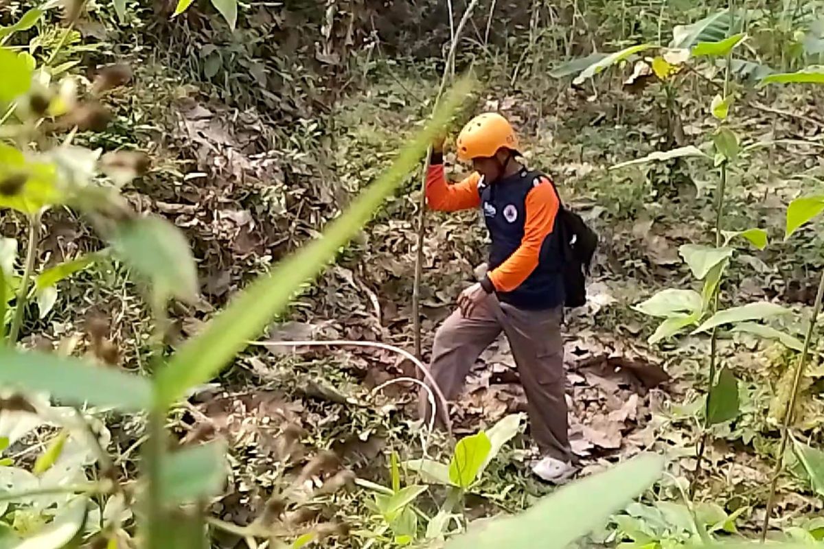CARI KORBAN—Salah satu tim gabungan Basarnas dan BPBD Kabupaten Madiun  melakukan pencarian terhadap kakek Boiman yang hilang di kawasan hutan Mruwak, Desa Mruwak, Kecamatan Dagangan, Kabupaten Madiun, Jawa Timur sejak Sabtu (13/8/2022) lalu.